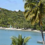 The beach at Prickly bay